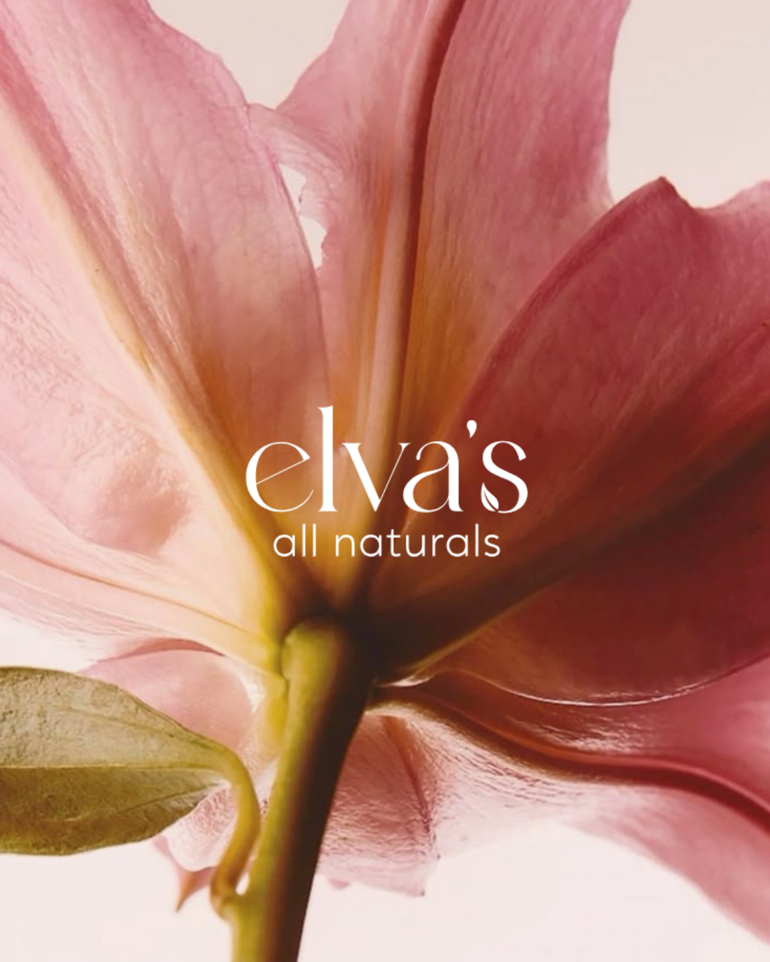 Elva's — campaign art